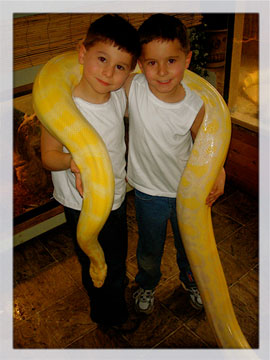 Two boys with a snake